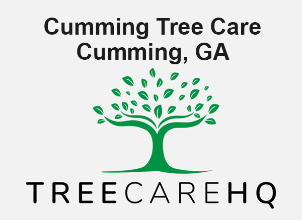 dd33d413 dfc4 412b b47d ea1d1d2f2b8b