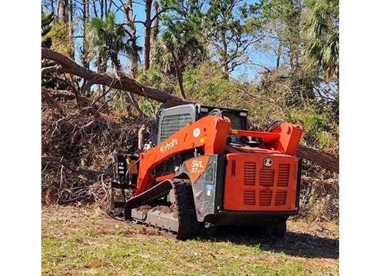 deforest tree service 4