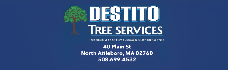 destito logo 1 768x237