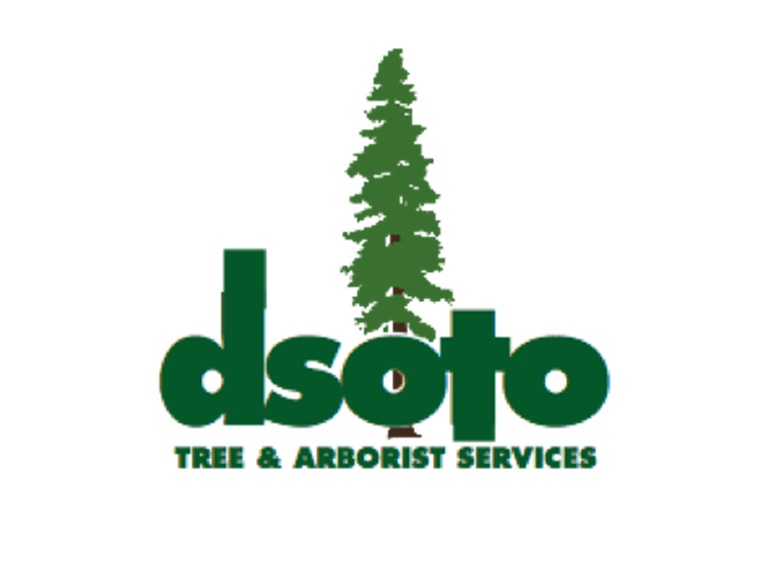 dsoto logo