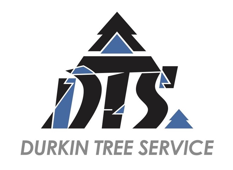 dts logo
