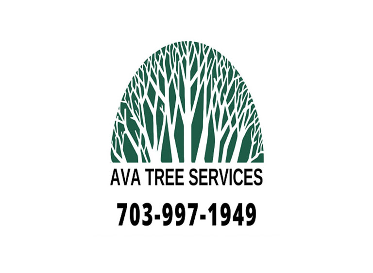 e56379f4 75b4 405e b8e7 8205cd523f2c