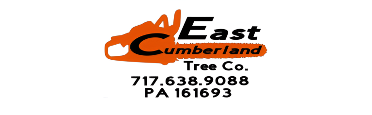 east logo 1 1 768x237