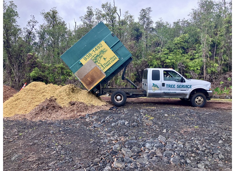 east side tree services 1