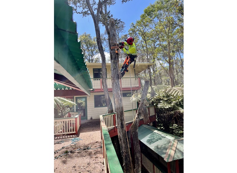 east side tree services 4