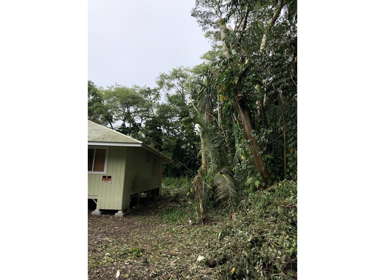 east side tree services 5