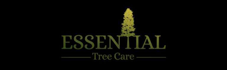 essential logo1 1 768x237