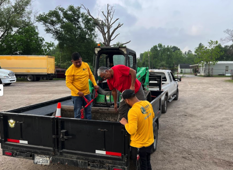 evergreen 2 2 768x560