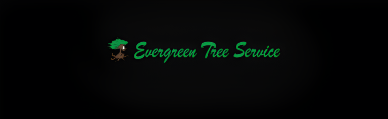 evergreen logo1 2 768x237