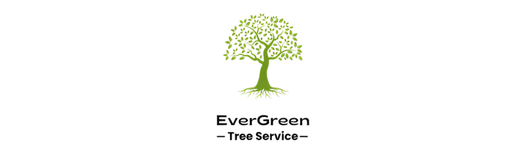 evergreen logo1 768x237
