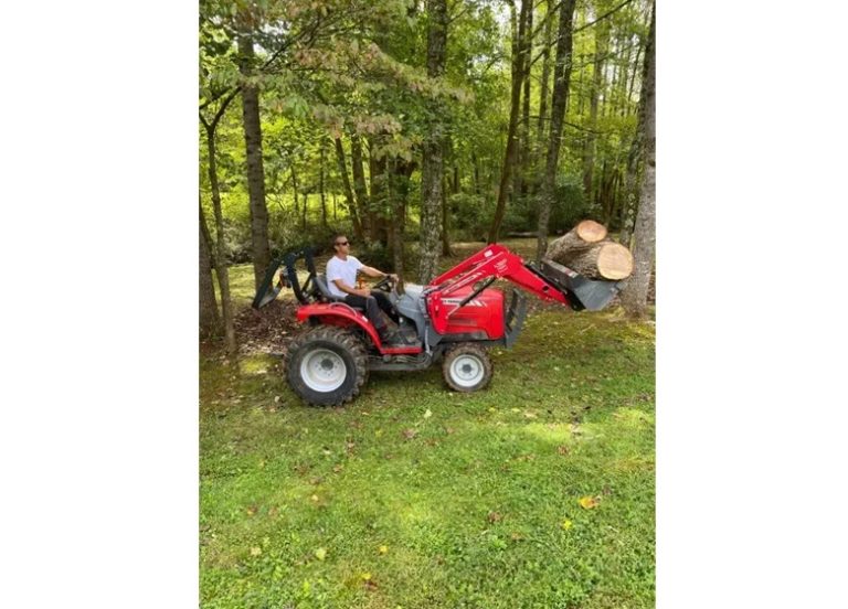 executive tree service 2 768x552