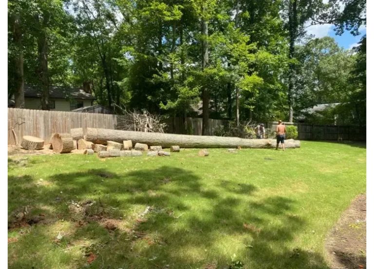 executive tree service 3 768x552