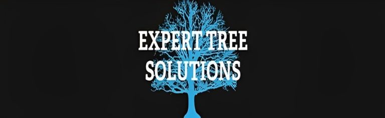 expert tree solutions banner 1 768x237