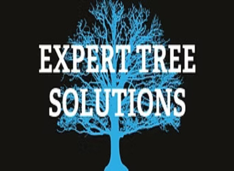 expert tree solutions logo