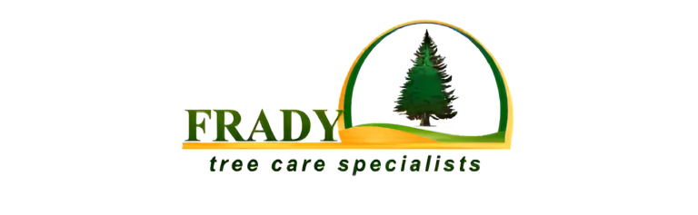 frady logo 1 768x237