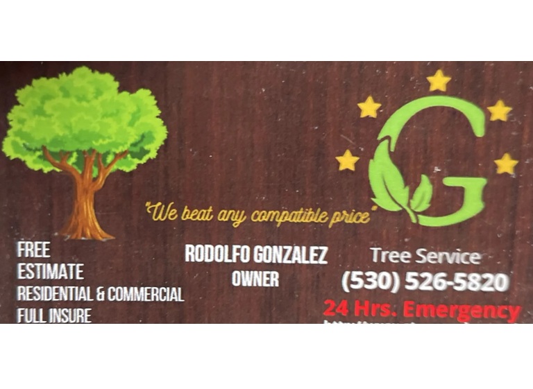 g tree service llc logo