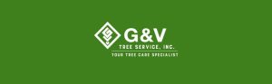 G&V Tree Service logo on green background.