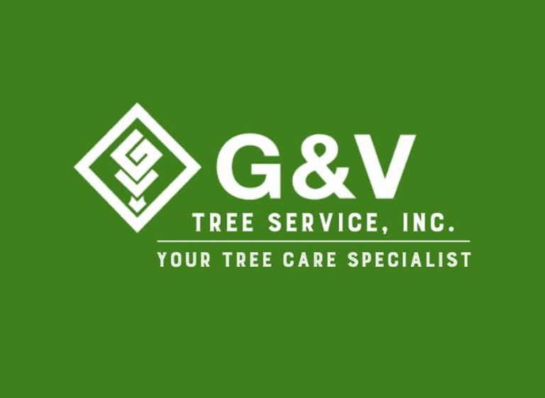 g v tree service inc logo