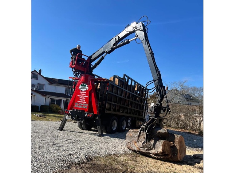 garcia tree removal service 2