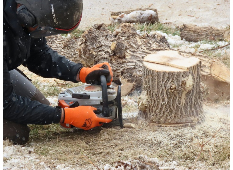 garcia tree removal service 3
