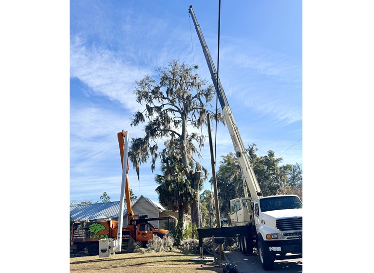 gateway tree service 2