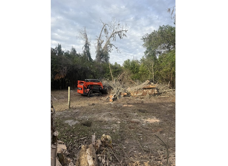 gateway tree service 3