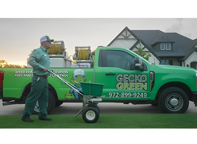 gecko green 3 768x561