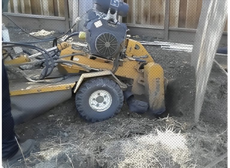 golden tree company 3 768x561