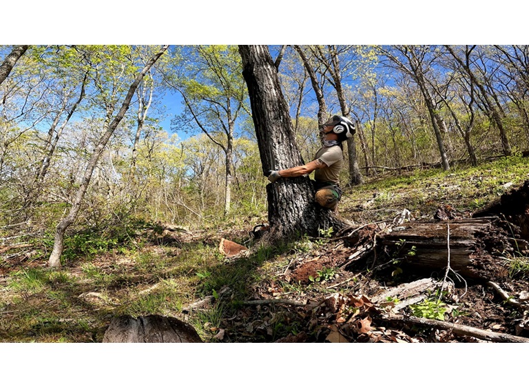 gravity works tree service 1