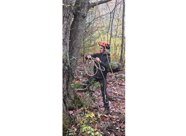 gravity works tree service 4