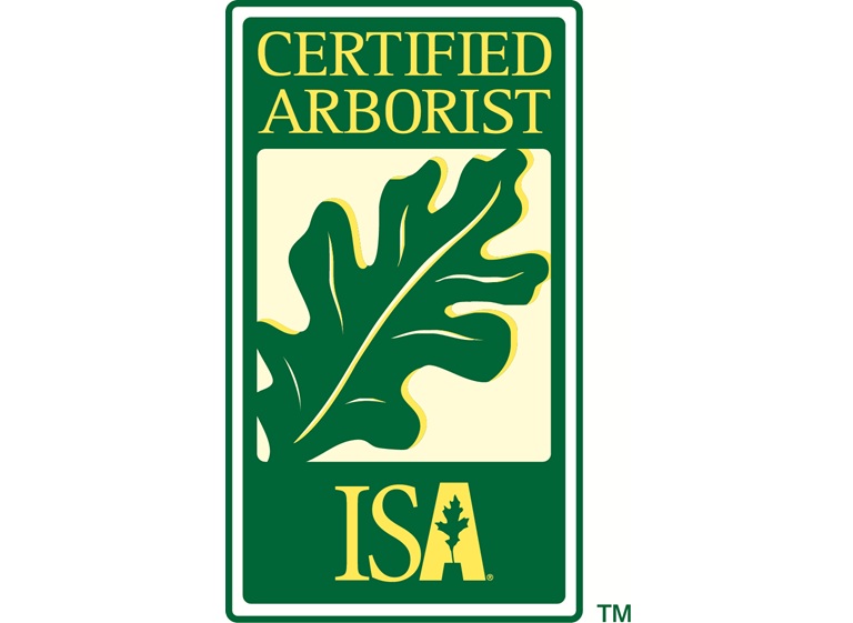 gravity works tree service 5