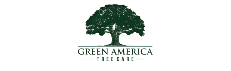 green logo 1 768x237