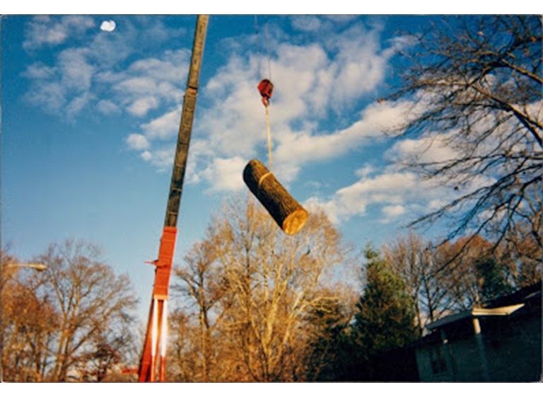 green mountaineers tree service 5