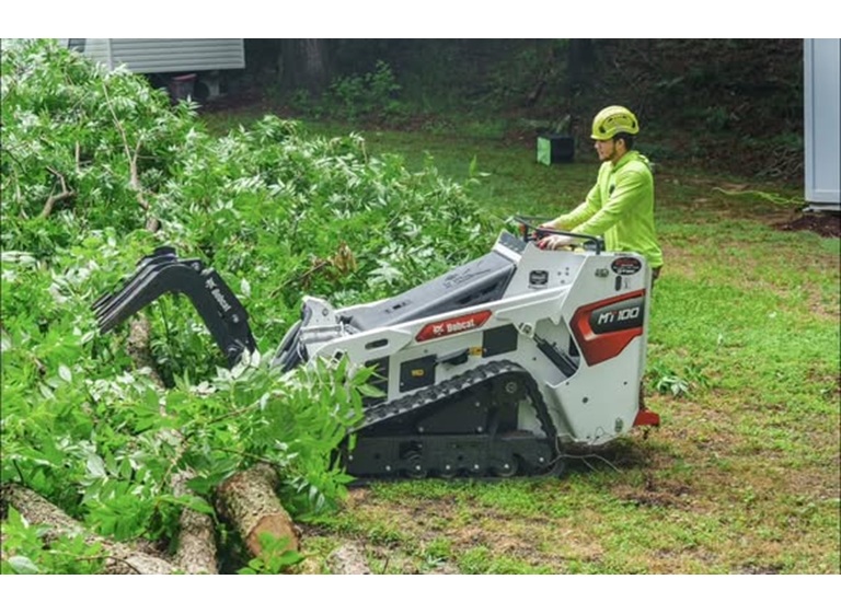 green oak tree experts 1