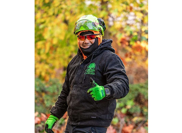 green oak tree experts 3 1