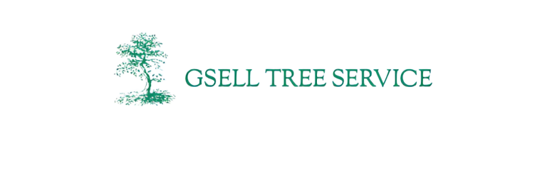 gsell logo1 768x237