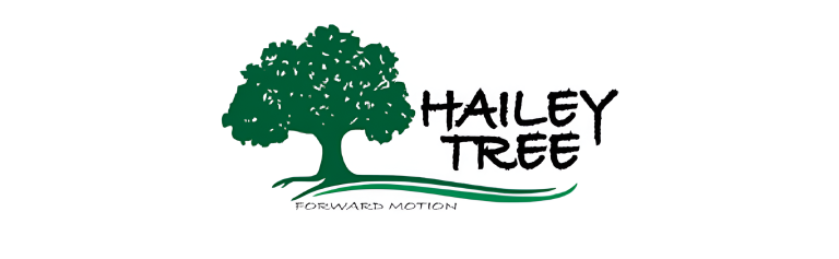 hailey logo 1 768x237