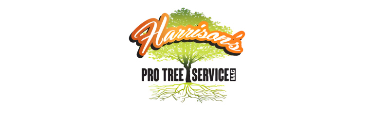 harrison logo1 768x237