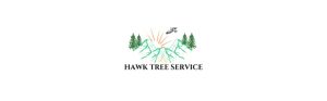 Hawk Tree Service logo with trees and mountains.