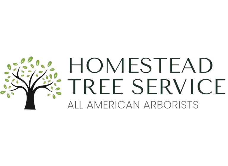 homestead tree service logo