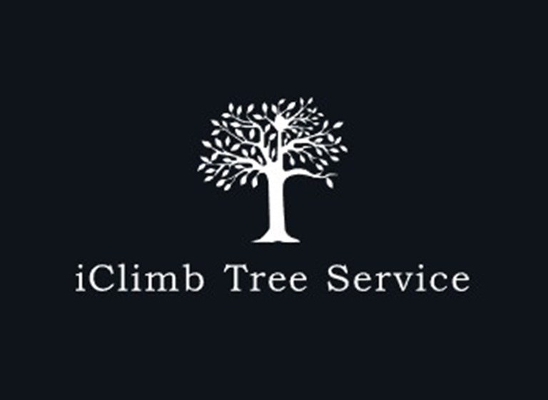 iclimb tree service logo
