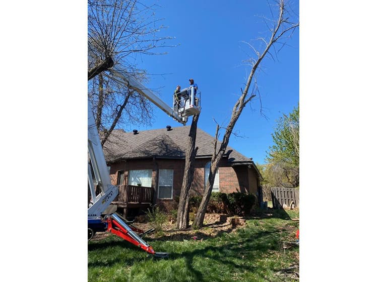 jd tree services landscaping 1