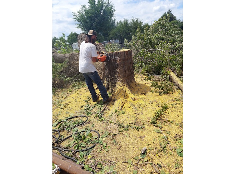 jd tree services landscaping 2