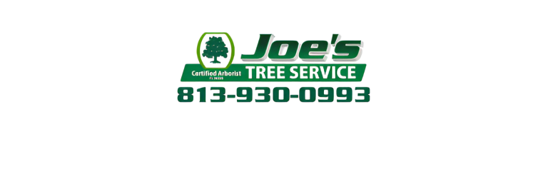 joe logo1 768x237