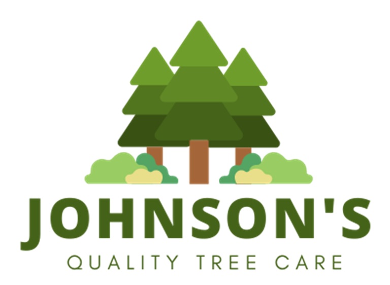 johnsons logo