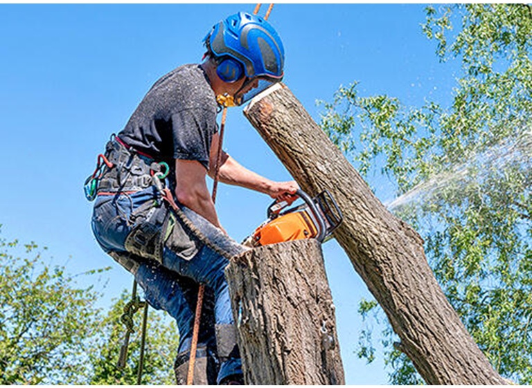 joplin tree care 1