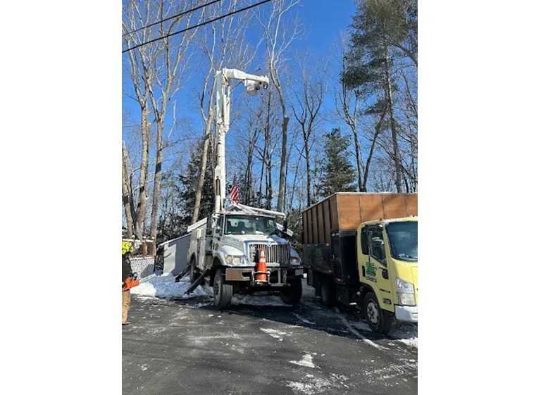 jrl tree services construction 1