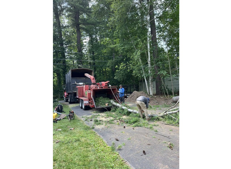 jrl tree services construction 2