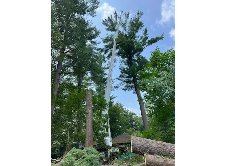 jrl tree services construction 3