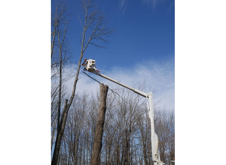 jrl tree services construction 4